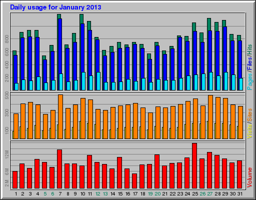 Daily usage for January 2013