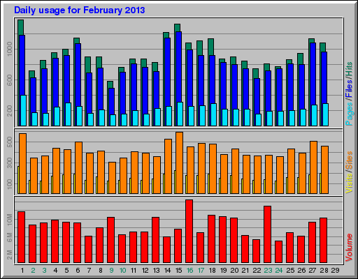 Daily usage for February 2013