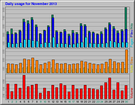 Daily usage for November 2013