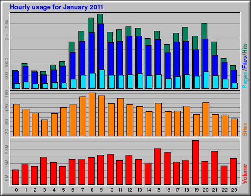 Hourly usage for January 2011