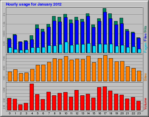 Hourly usage for January 2012