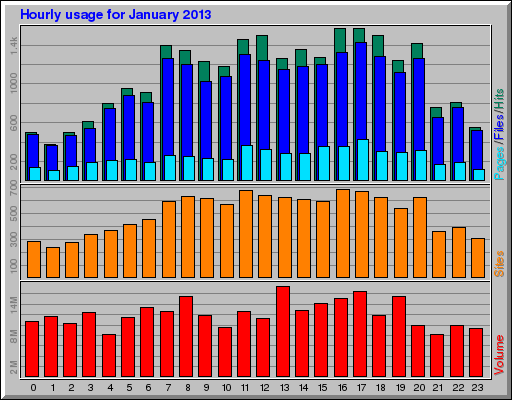Hourly usage for January 2013