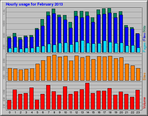 Hourly usage for February 2013