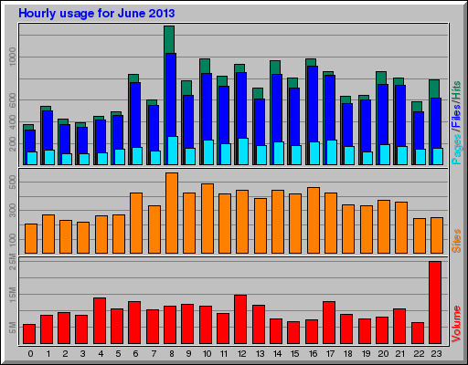Hourly usage for June 2013