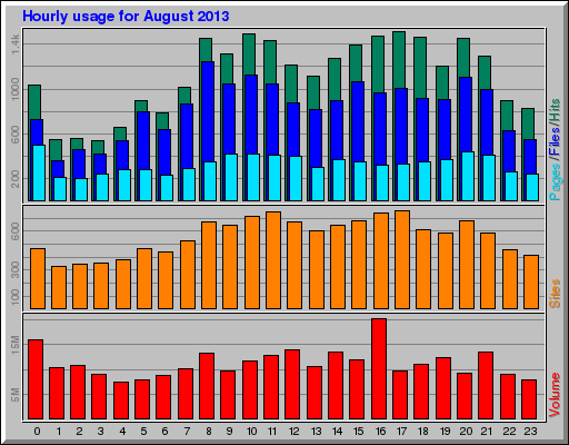 Hourly usage for August 2013