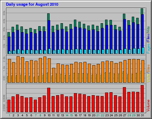 Daily usage for August 2010