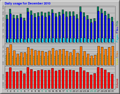 Daily usage for December 2010