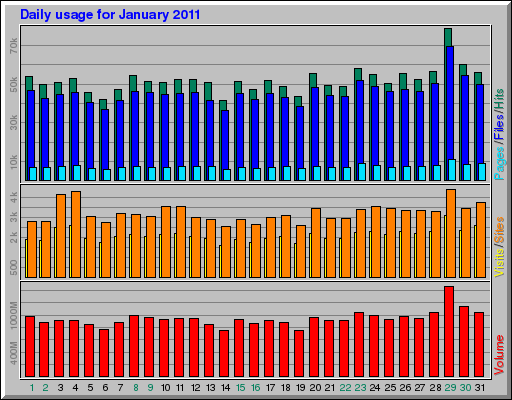 Daily usage for January 2011