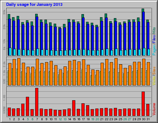 Daily usage for January 2013