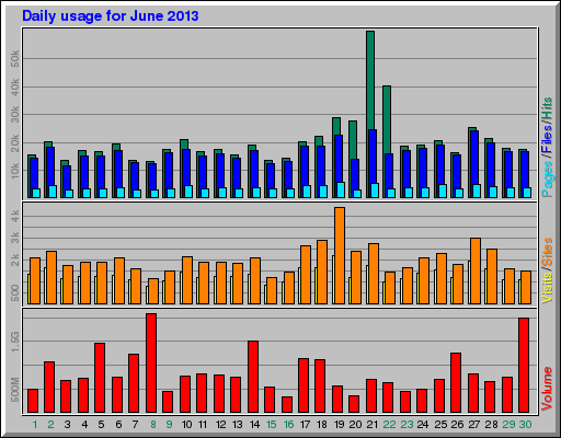 Daily usage for June 2013