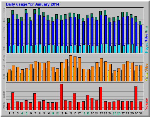 Daily usage for January 2014