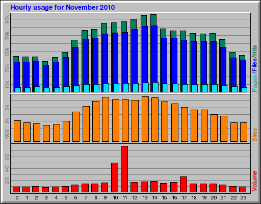 Hourly usage for November 2010