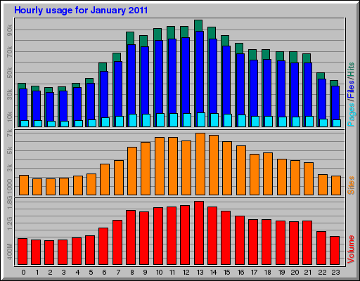 Hourly usage for January 2011
