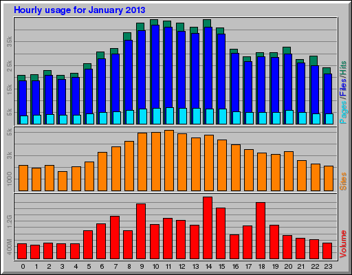 Hourly usage for January 2013