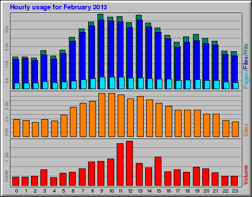 Hourly usage for February 2013
