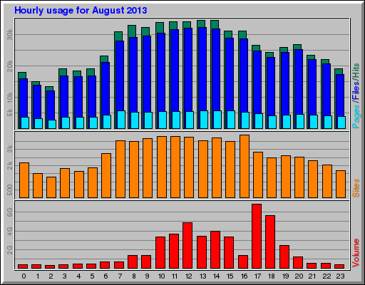 Hourly usage for August 2013