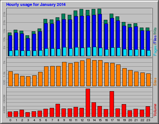 Hourly usage for January 2014