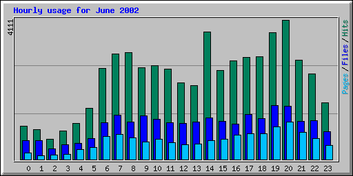 Hourly usage for June 2002