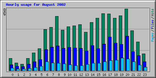 Hourly usage for August 2002