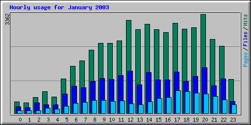 Hourly usage for January 2003