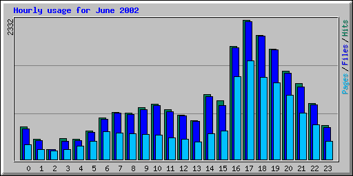 Hourly usage for June 2002