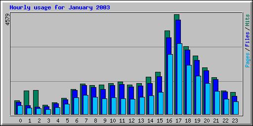 Hourly usage for January 2003