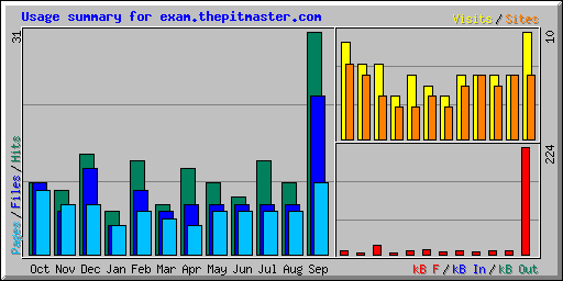 Usage summary for exam.thepitmaster.com