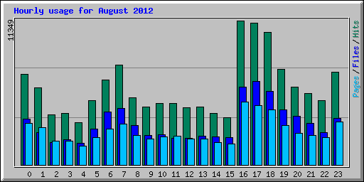 Hourly usage for August 2012