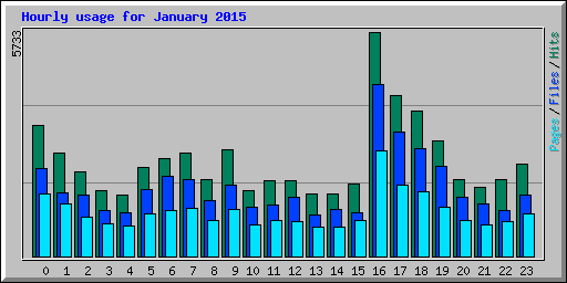 Hourly usage for January 2015
