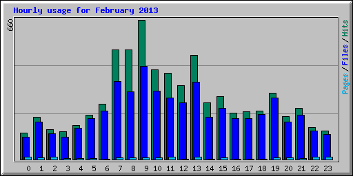 Hourly usage for February 2013