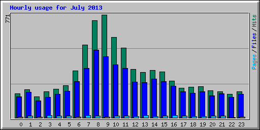 Hourly usage for July 2013