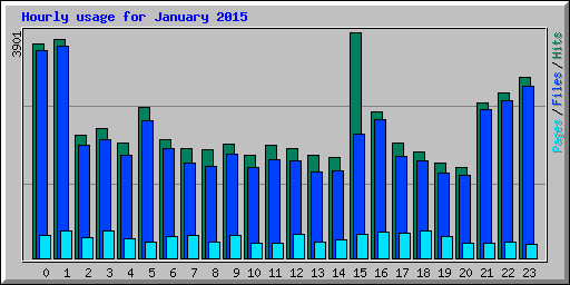 Hourly usage for January 2015