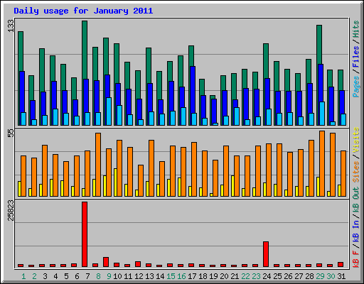 Daily usage for January 2011