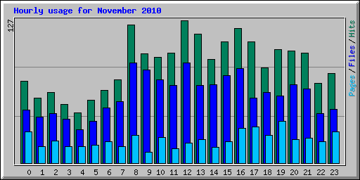 Hourly usage for November 2010