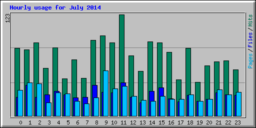 Hourly usage for July 2014