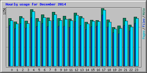 Hourly usage for December 2014