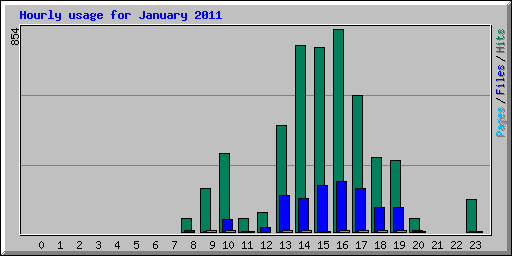Hourly usage for January 2011
