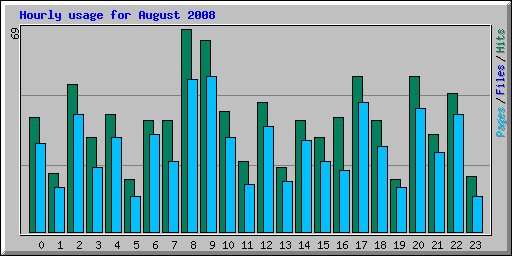 Hourly usage for August 2008