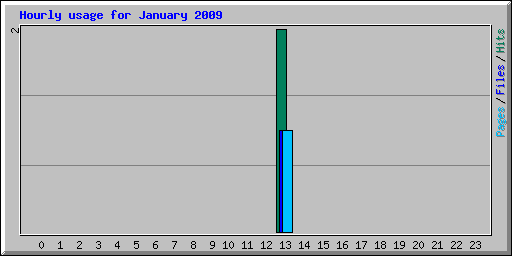 Hourly usage for January 2009