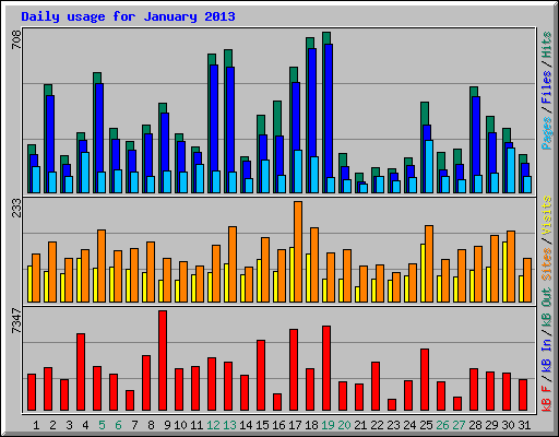 Daily usage for January 2013
