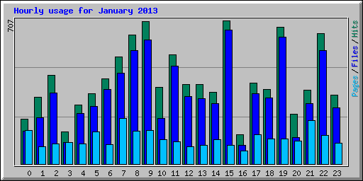 Hourly usage for January 2013