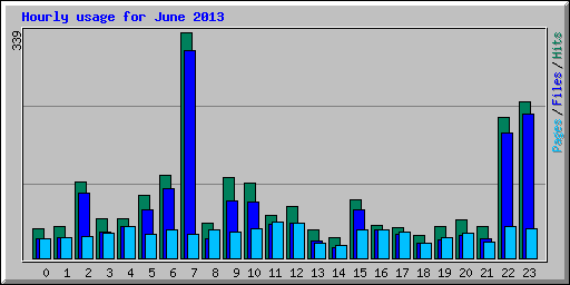 Hourly usage for June 2013