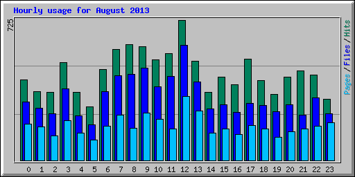Hourly usage for August 2013