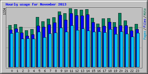 Hourly usage for November 2013