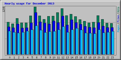 Hourly usage for December 2013