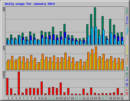 Daily usage for January 2013