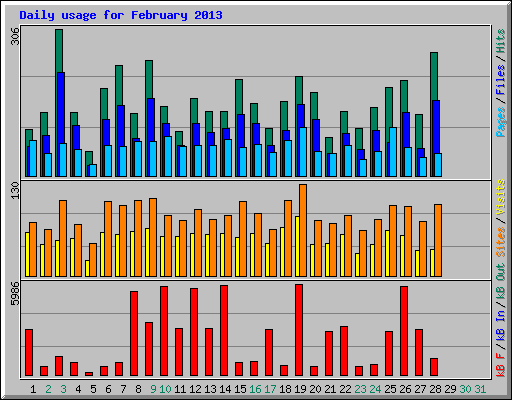 Daily usage for February 2013