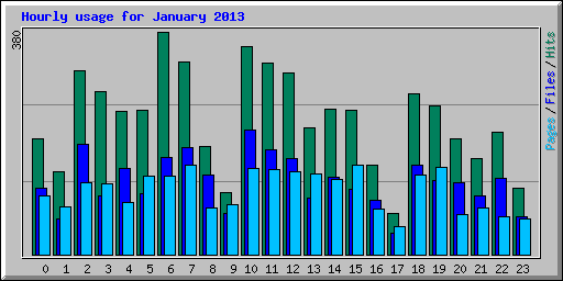 Hourly usage for January 2013