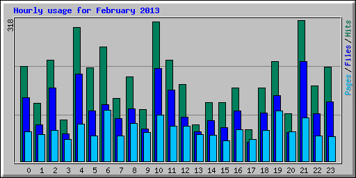 Hourly usage for February 2013