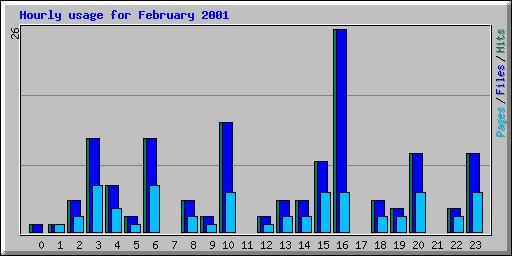 Hourly usage for February 2001